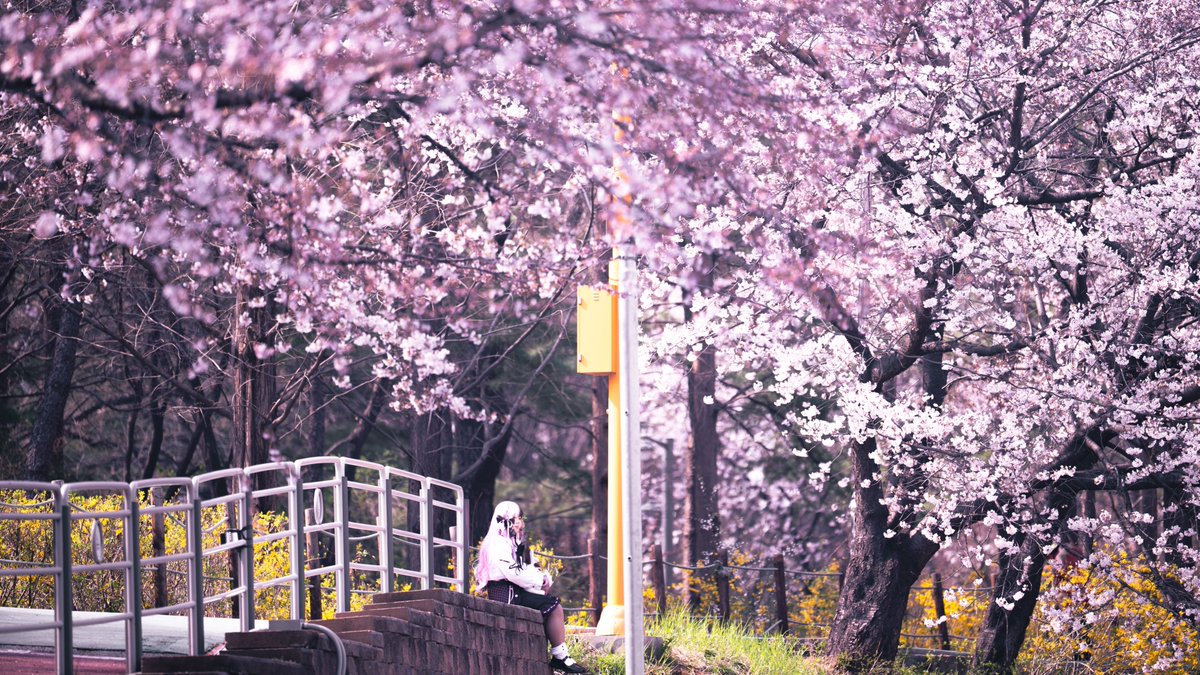 셔터누름돌 tweet media