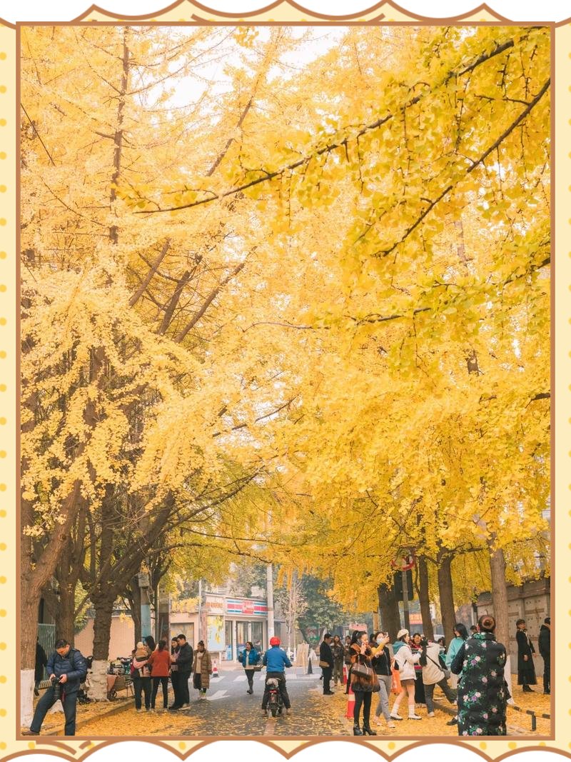 Fa2unase 2nde Vince tweet media