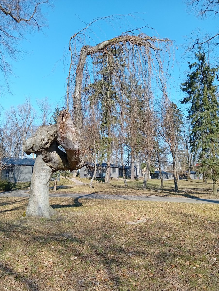 Krysty_Na🇵🇱 tweet media