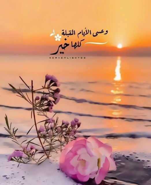 أحـمد الـزيــــدي 🇴🇲™️ tweet media