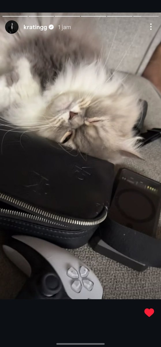 SN_•7🌼 tweet media