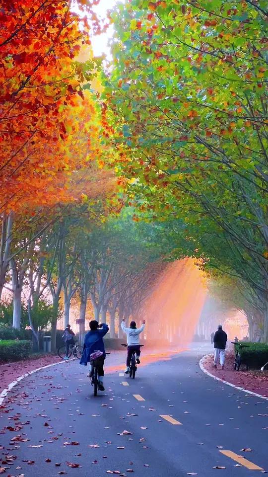 mercedes lopez tweet media