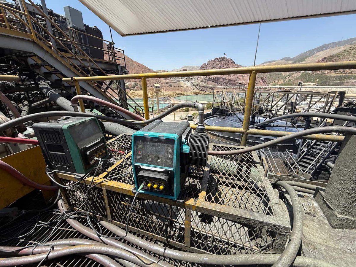 PII Magazine tweet media