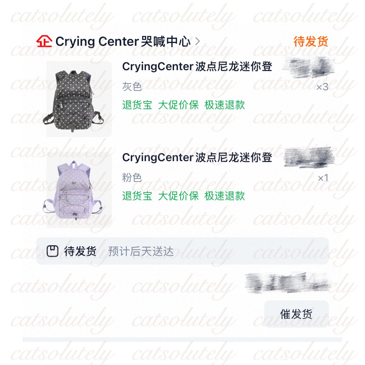 catsolutely tweet media