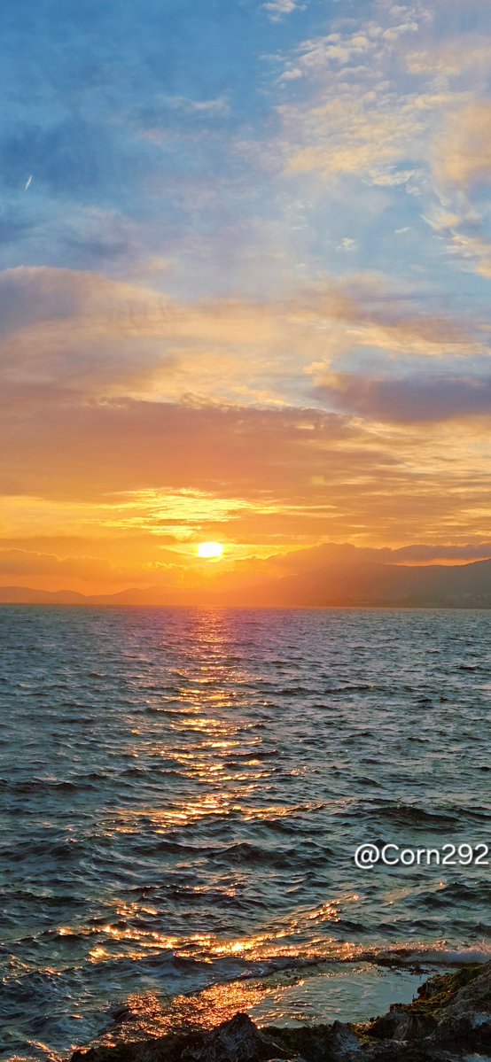 🅒︎🅞︎🅡︎N tweet media