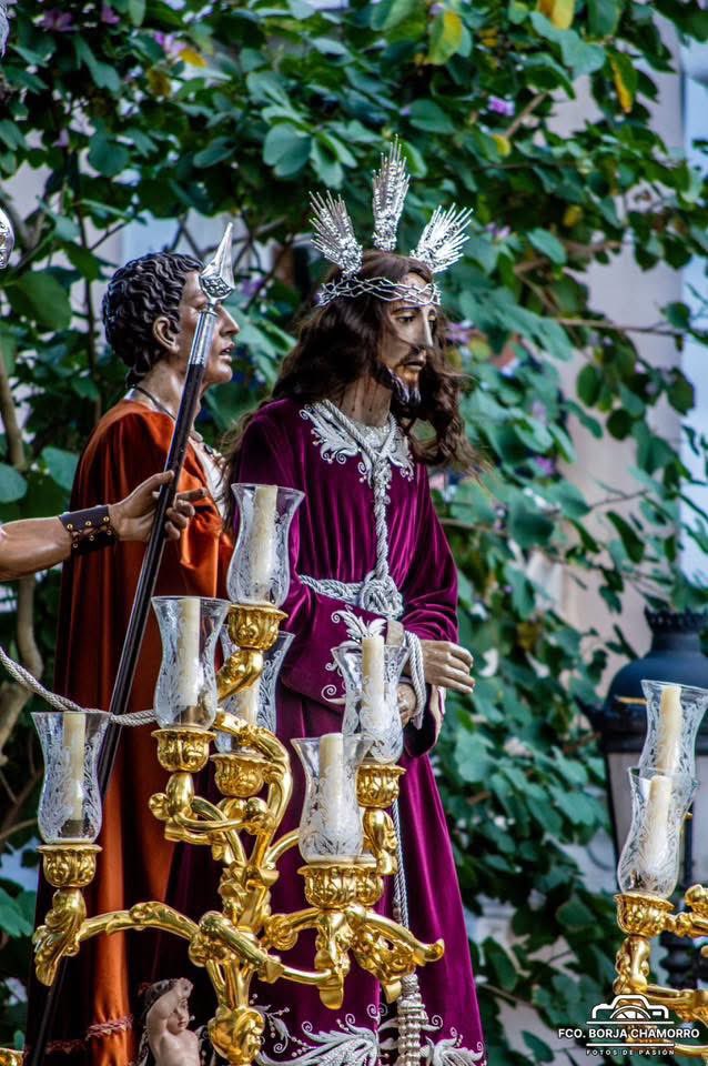 Cofradía de la Sentencia tweet media