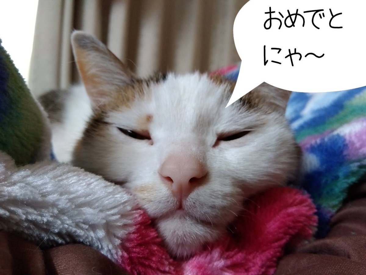 コインランドリー刑事 tweet media