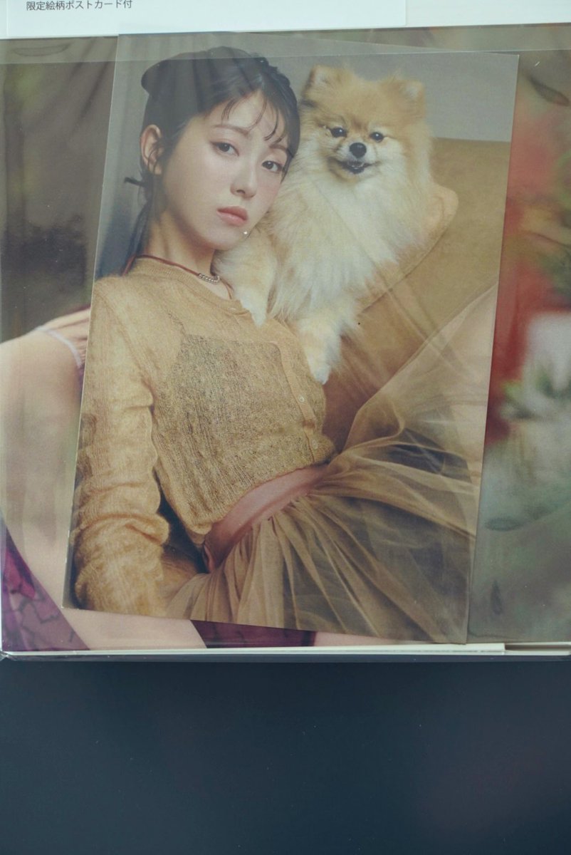 HIDEO_KOJIMA tweet media