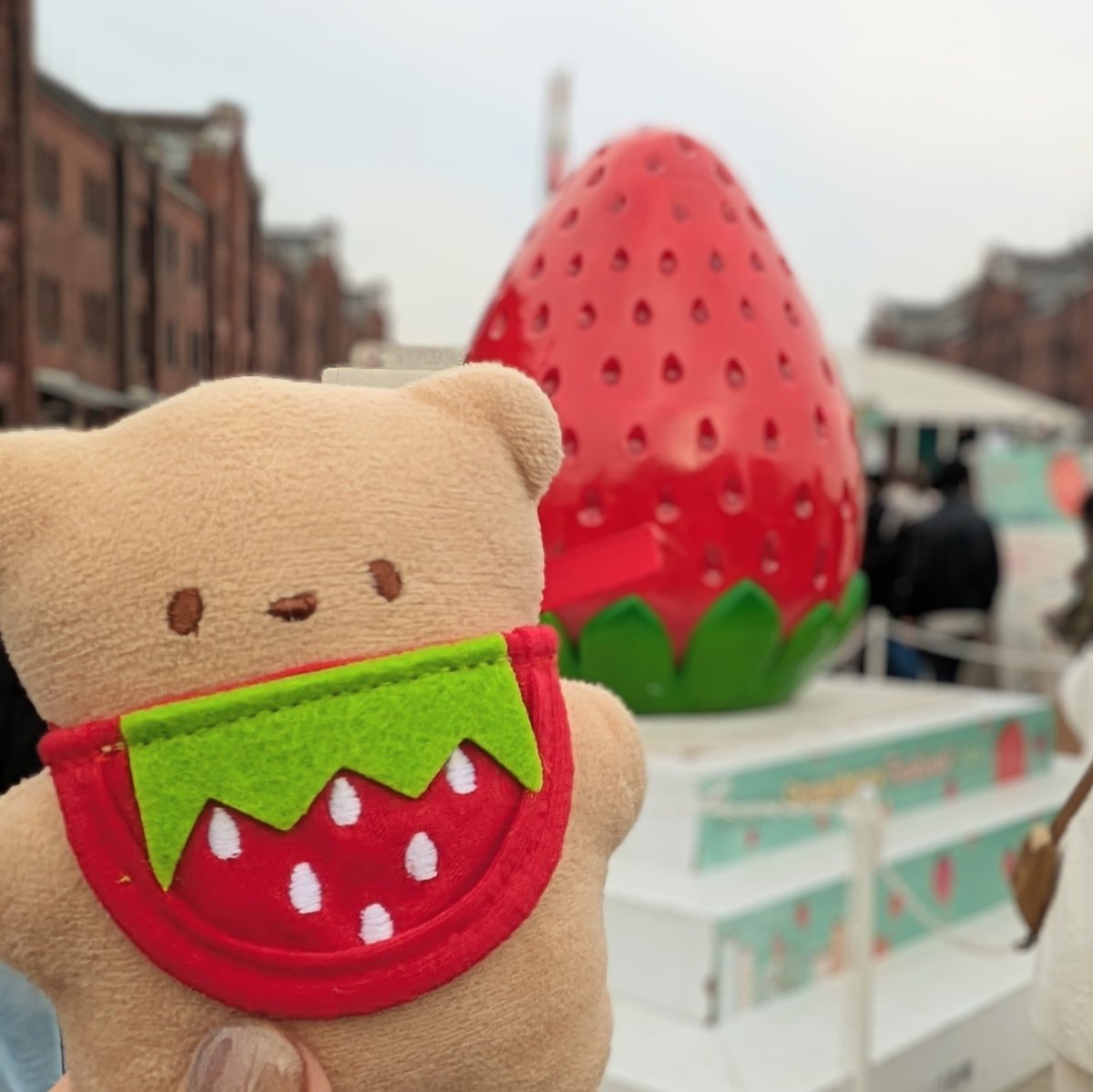 凍江てる tweet media