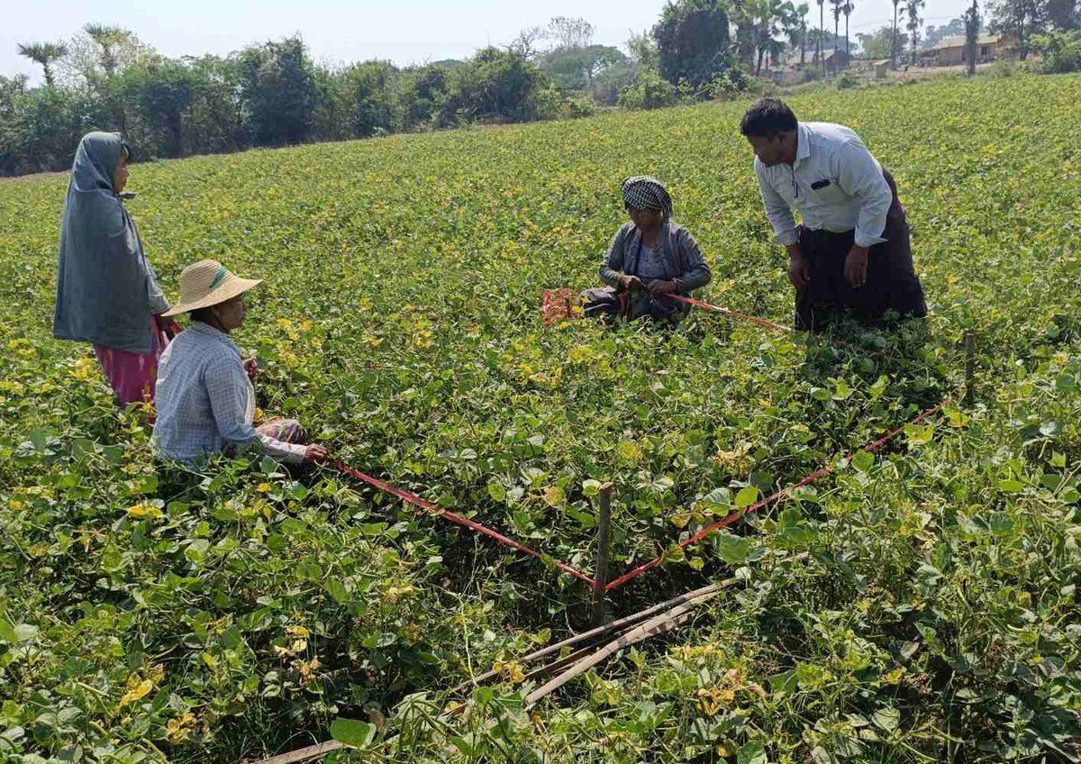 United Nations in Myanmar tweet media