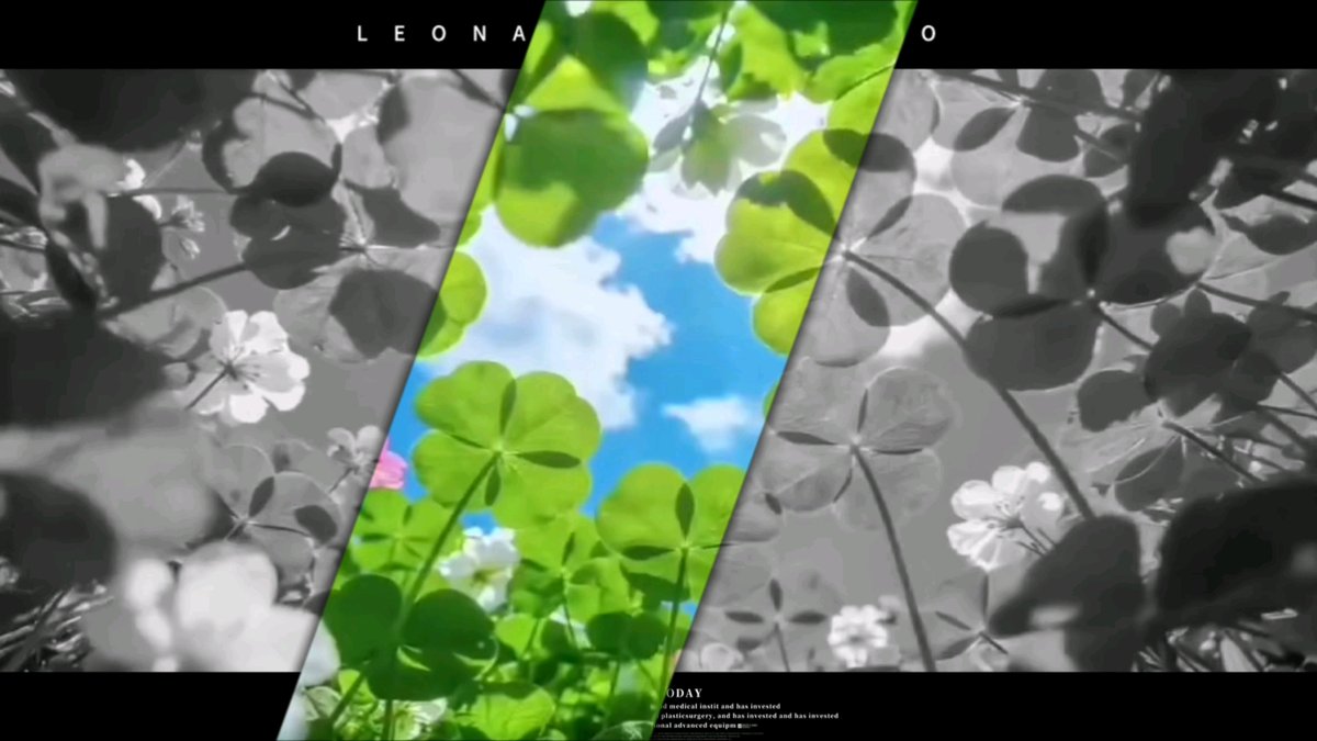 Jaime Thomason tweet media