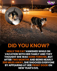 DXB OG 🇦🇪 tweet media