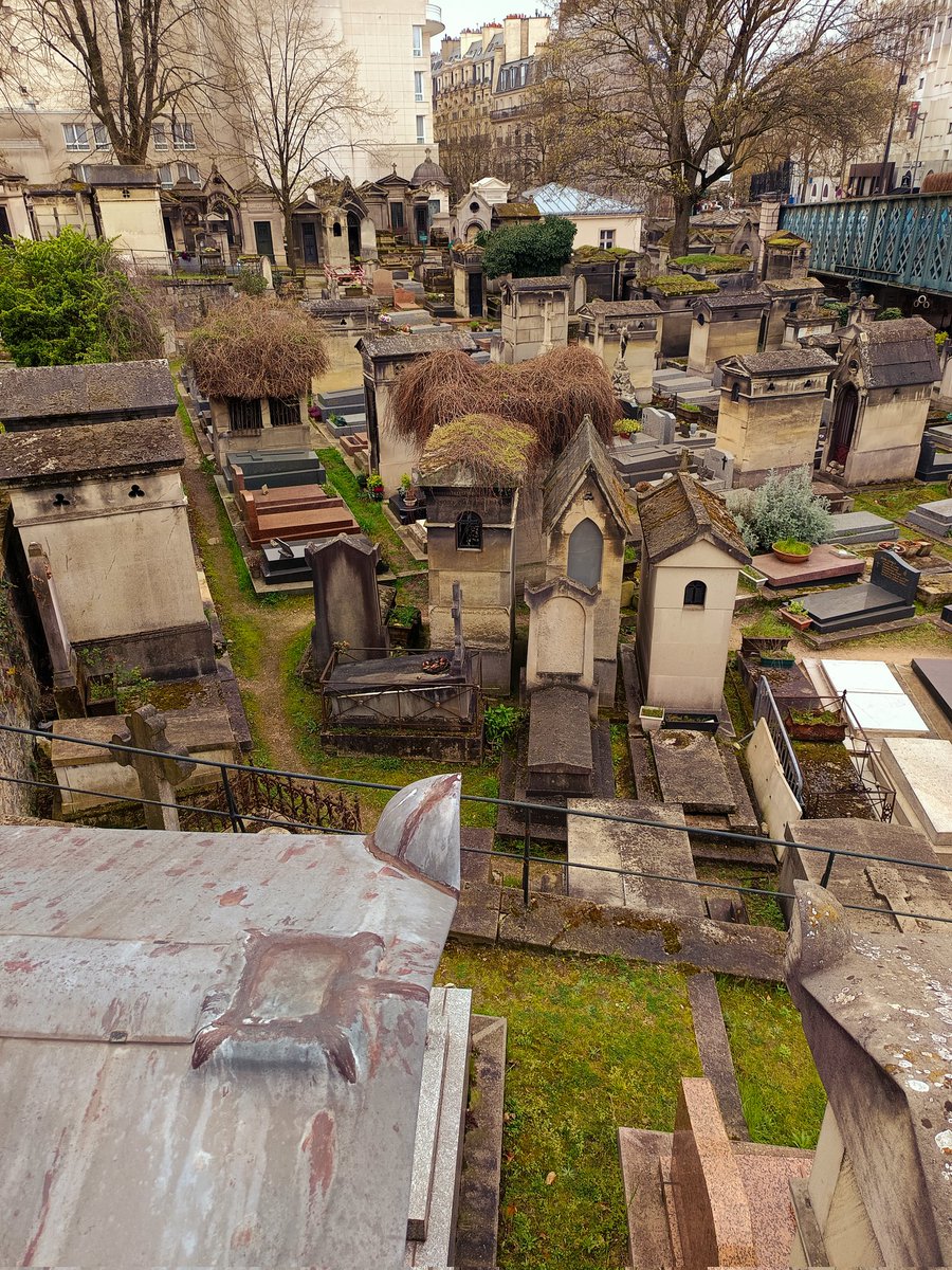 Fish & Dive 🐙'Préservons la Méditerranée' tweet media