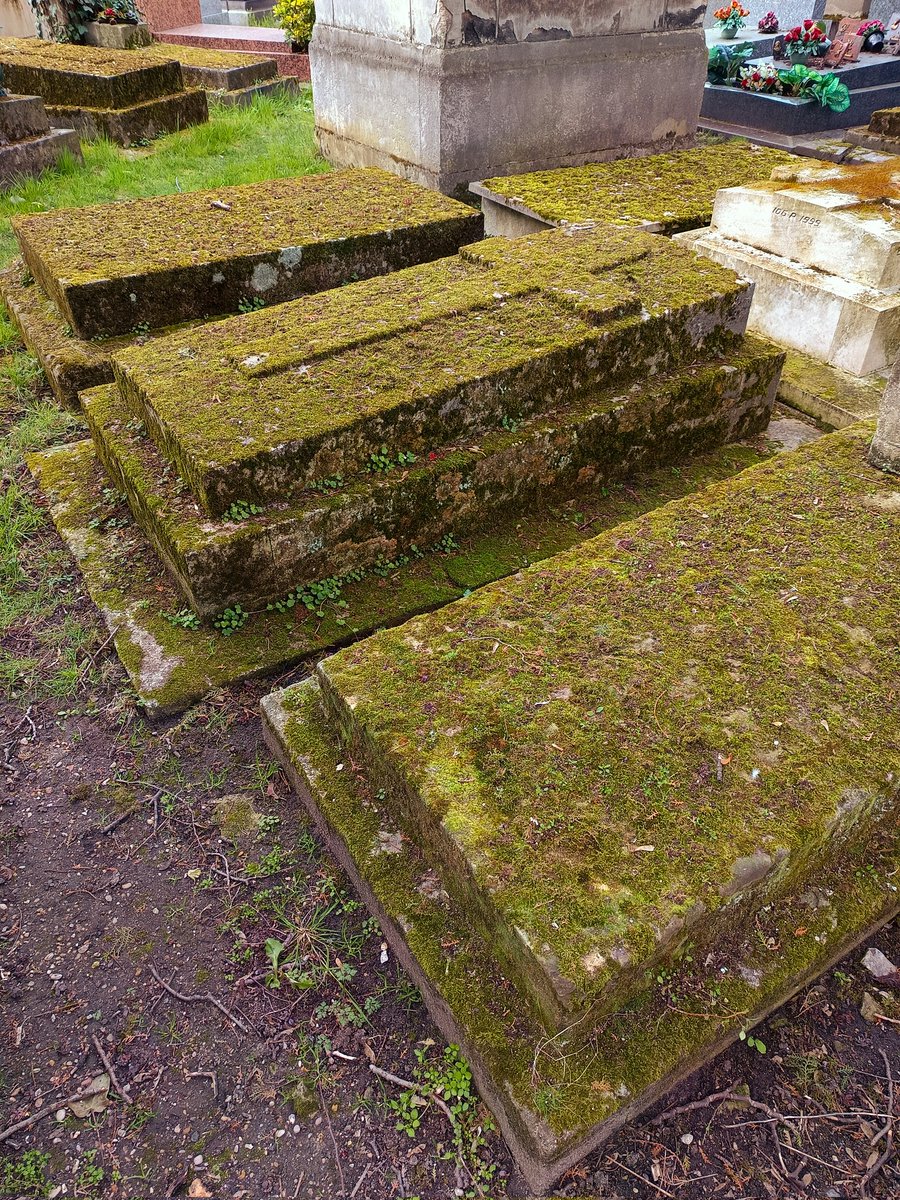 Fish & Dive 🐙'Préservons la Méditerranée' tweet media