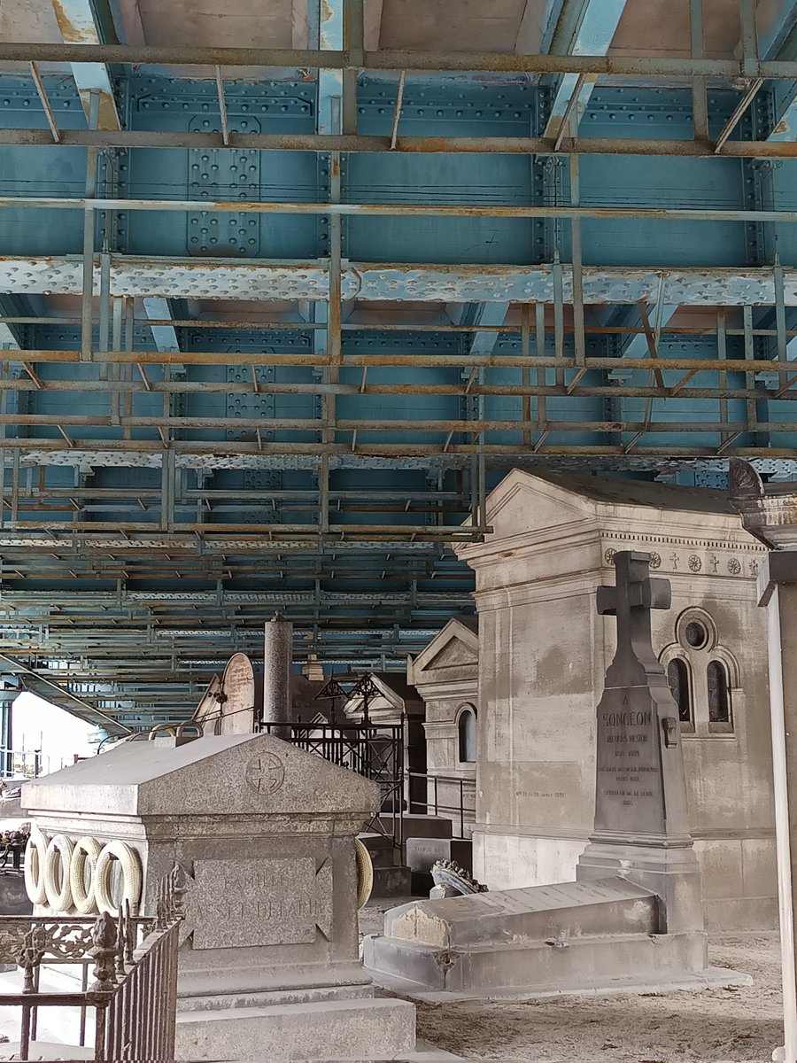 Fish & Dive 🐙'Préservons la Méditerranée' tweet media