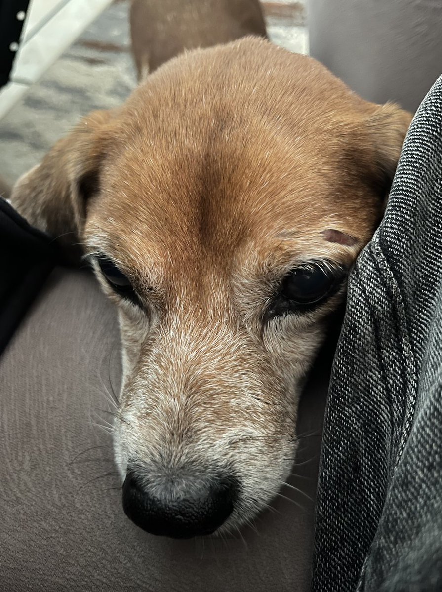 𝘢𝘳𝘶𝘵𝘢𝘭𝘢. tweet media