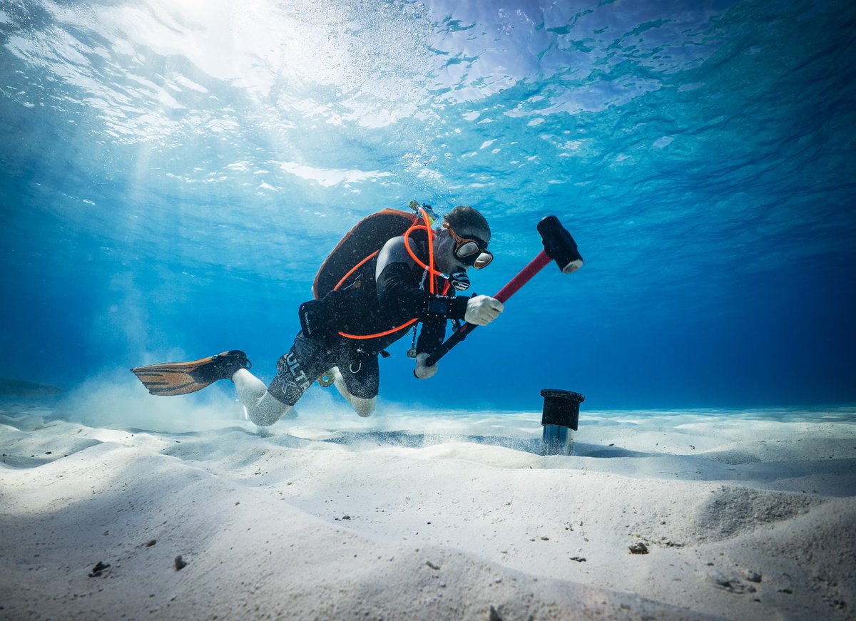 Dr. Nashwan Matheen tweet media