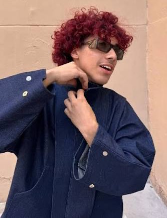 shigaraki 🇩🇿 tweet media