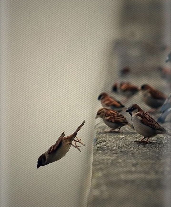 Valentine 🦋 tweet media