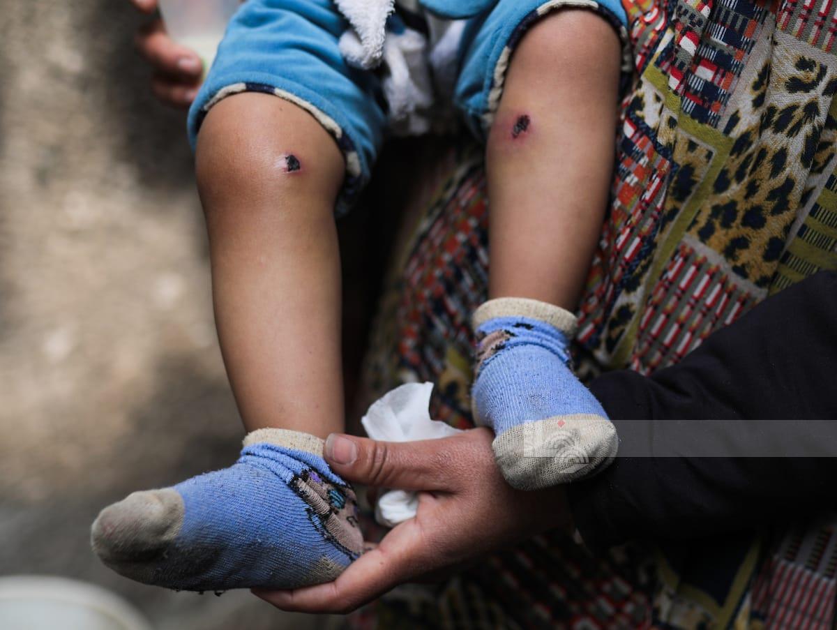 WAFA News Agency - English tweet media