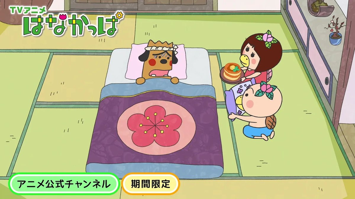 はなかっぱ tweet media