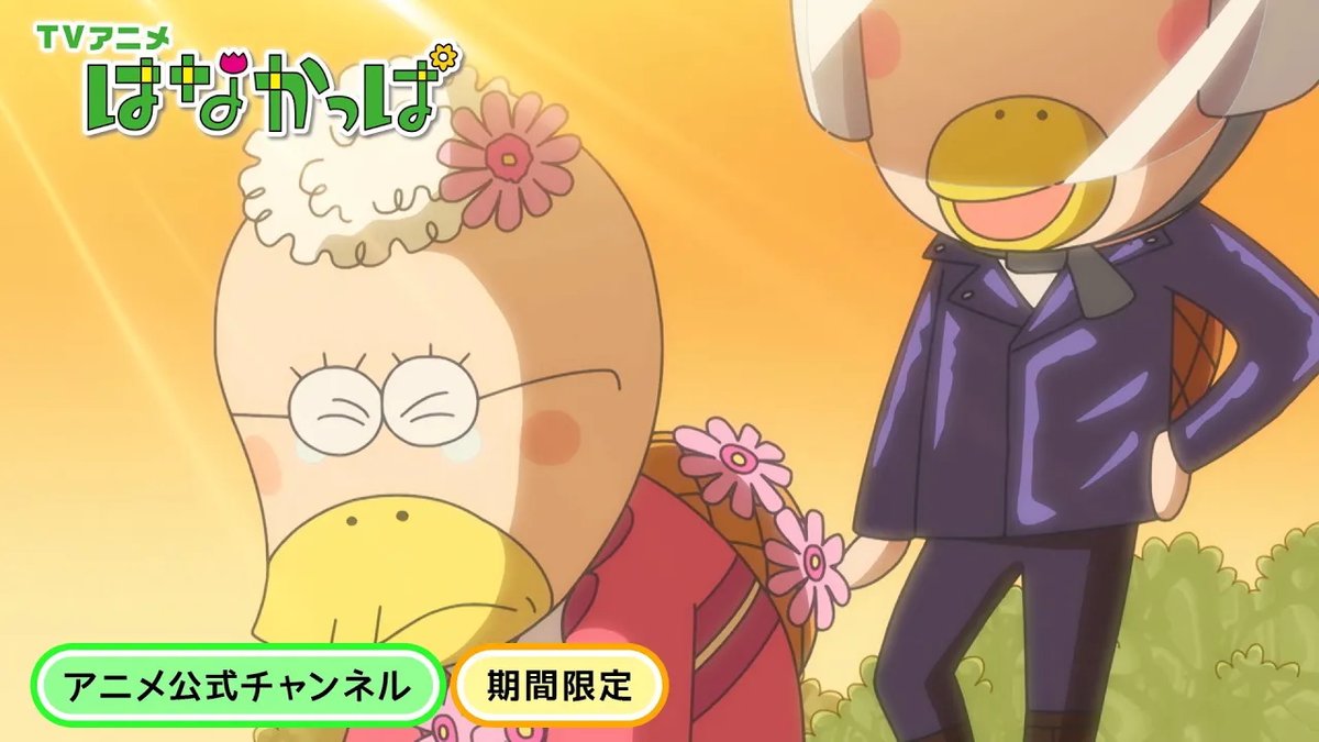 はなかっぱ tweet media