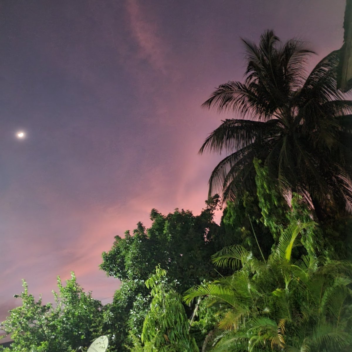 Butterfly 🦋 tweet media