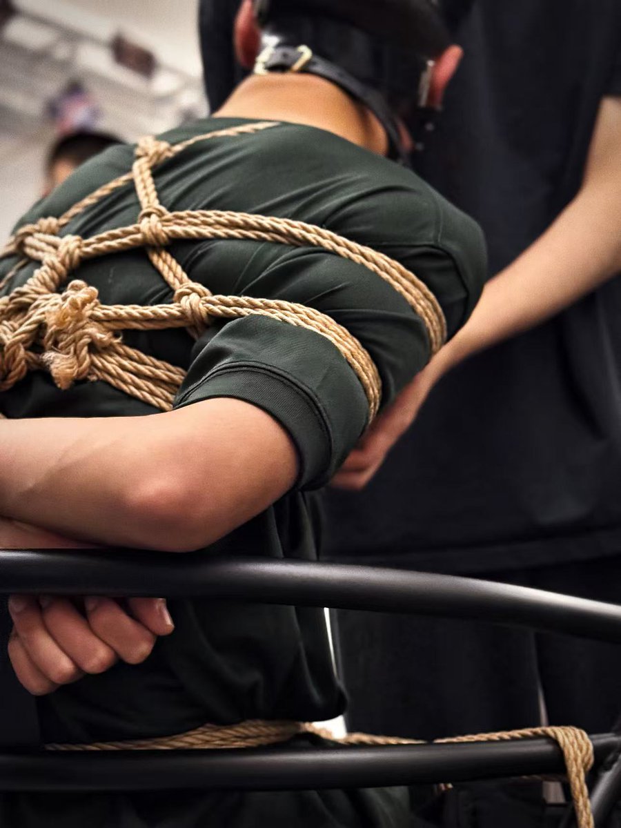 命运的邂逅 tweet media