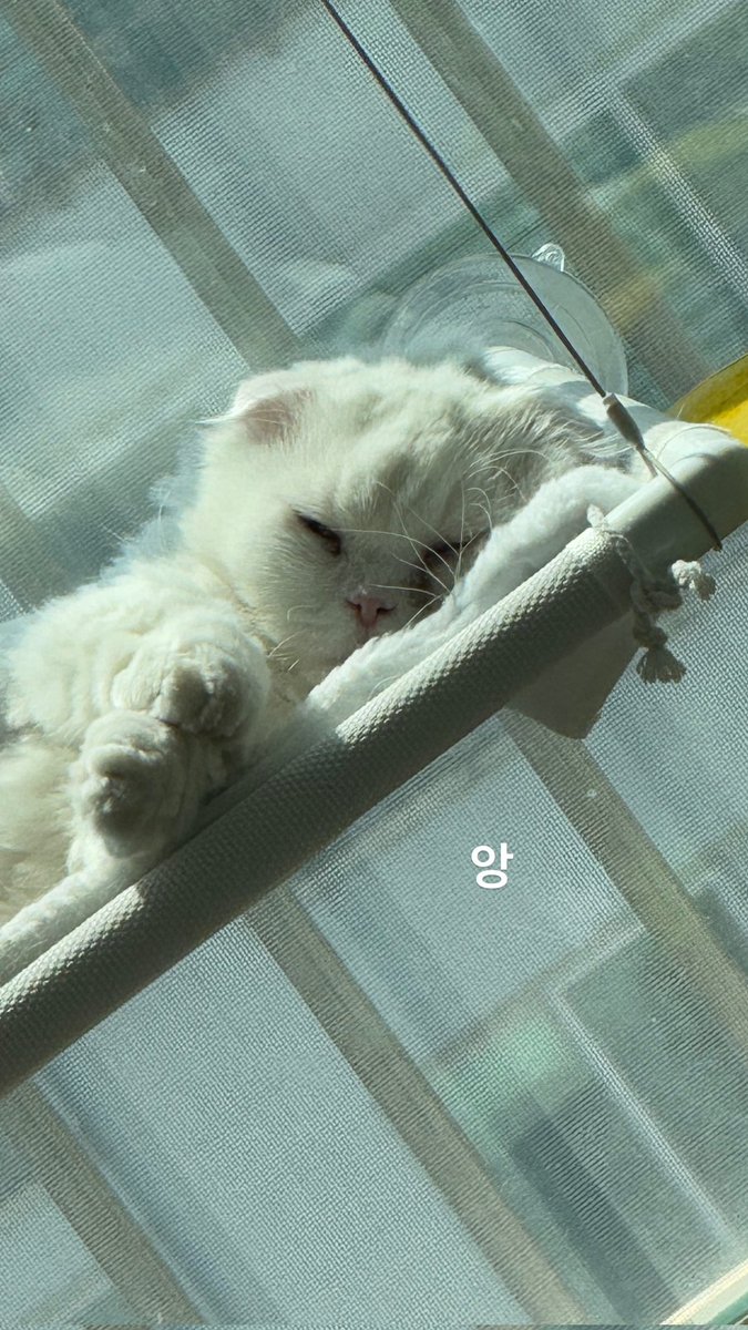 GFEntGlobal's tweet photo. THE KINGDOM • INSTAGRAM STORY • 260425

💬 MUJIN: Yes
💬 LOUIS: Bee

#MUJIN #무진 #LOUIS #루이 
#TKD #TheKingDom #더킹덤 https://t.co/H8tJygNKB5