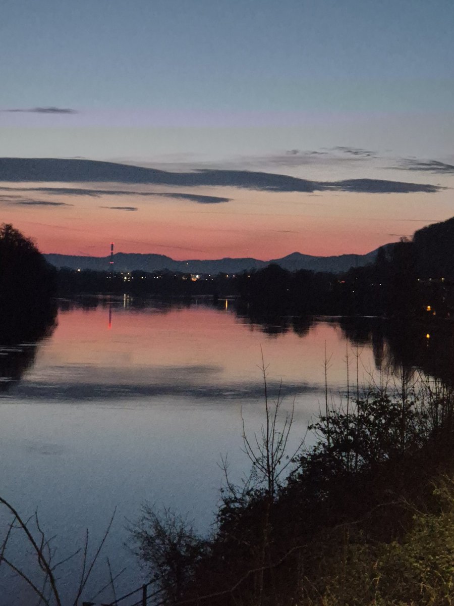 Swizzbandito tweet media