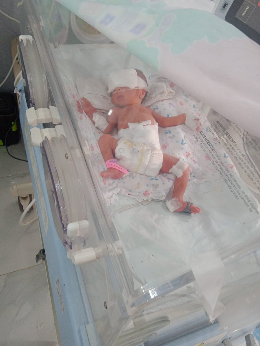 shafeeq𓂆🇵🇸 tweet media