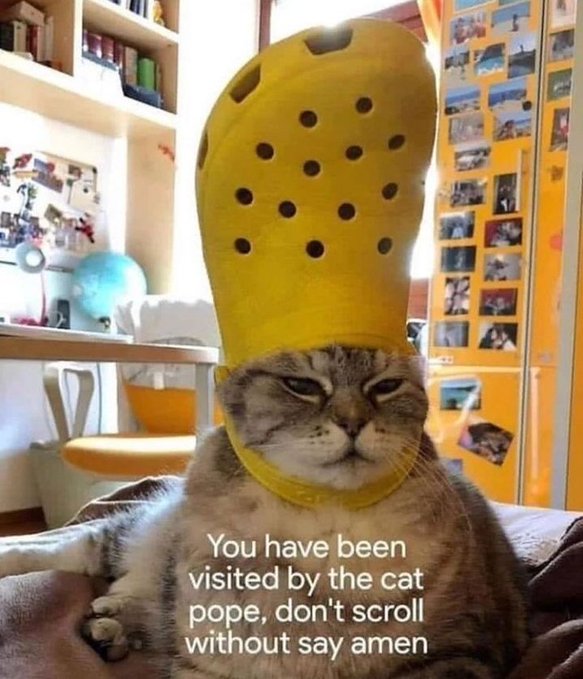 Soggy Bot tweet media