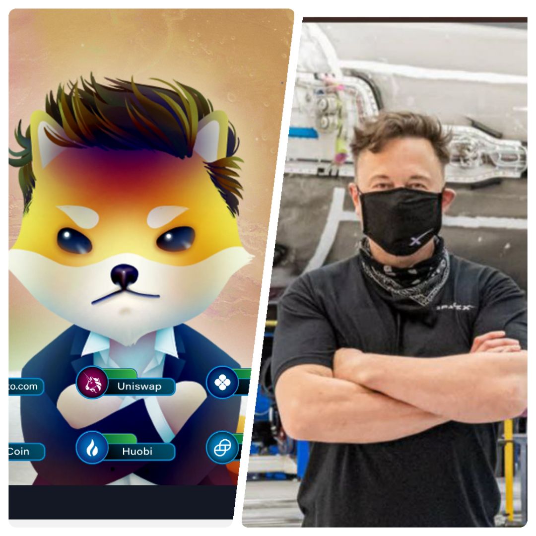 the elon token (🚀,🔴) tweet media