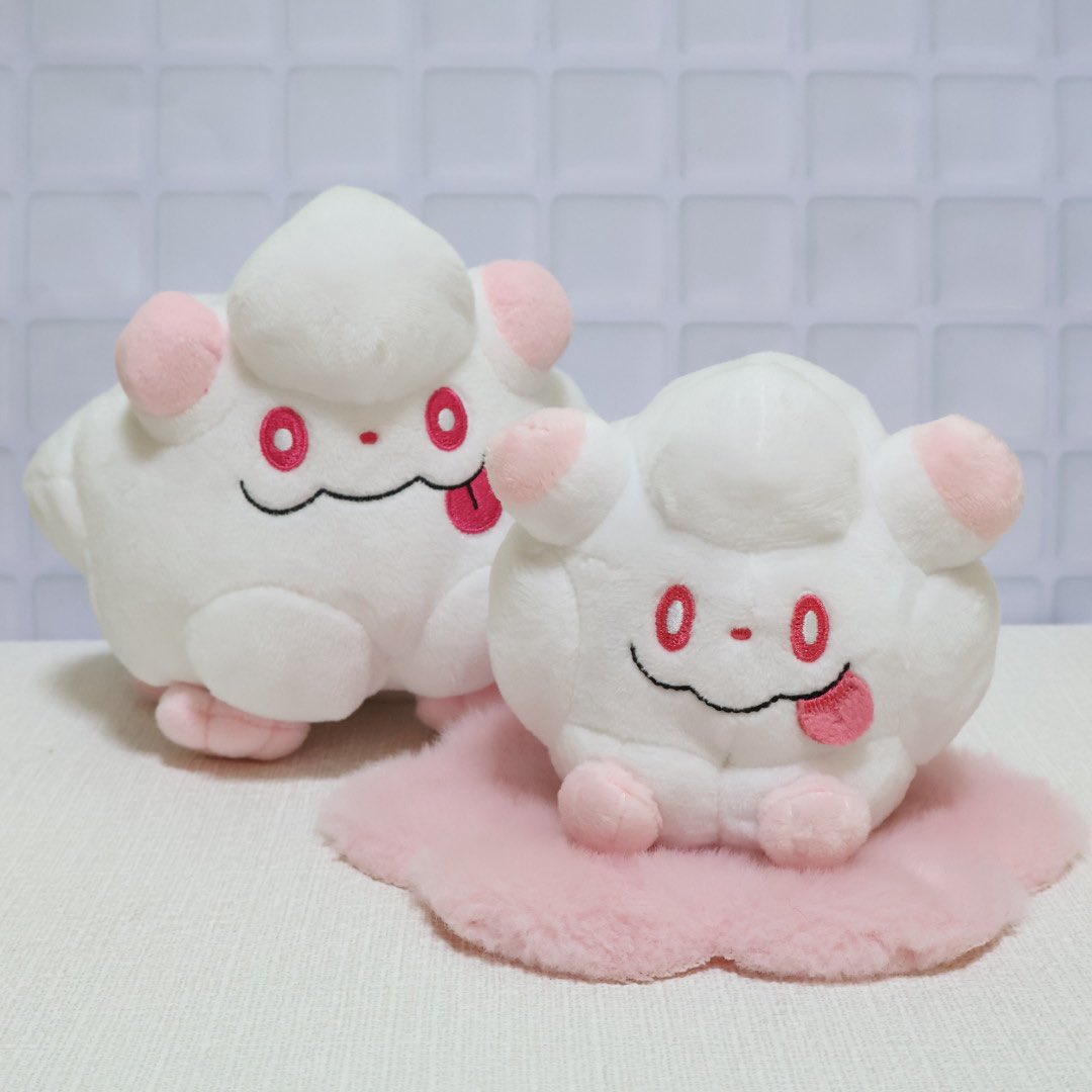 ゆもも tweet media