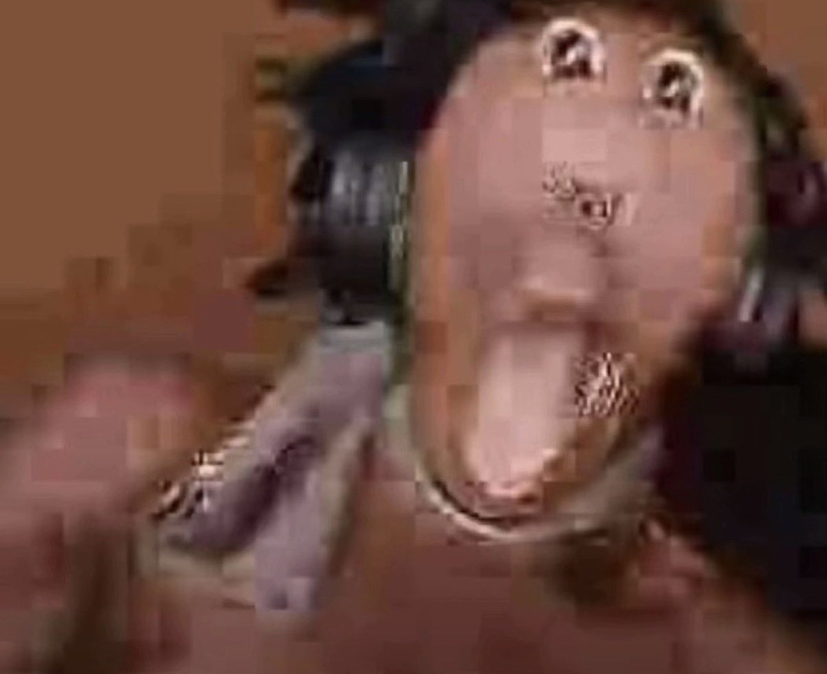 Loris🕊️ | THOMAS DAY !!! tweet media