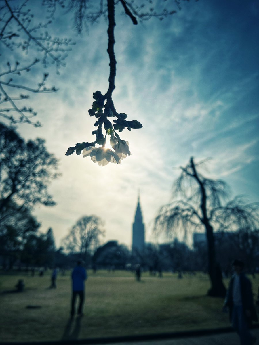 明後日27日（金）に迫りました東京公演ですが、キャンセルが出たため、新たに5席ご用意できる運びとなりました。

すでにご予約いただいている皆さま、本当にありがとうございます。

追加のお席につきましては【先着順】にてご予約を承っております。