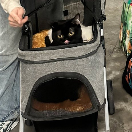 Keluarga Yuki tweet media