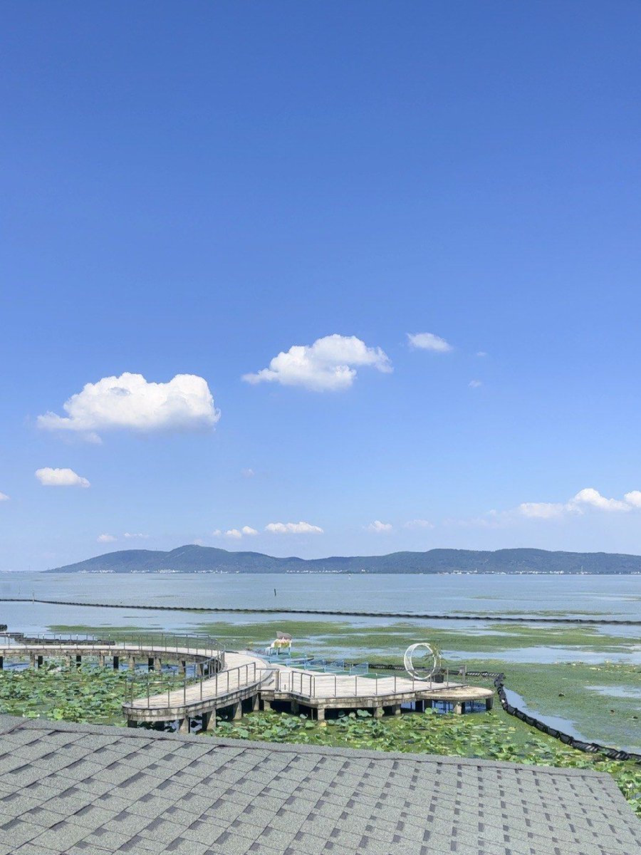 Ashwin v tweet media