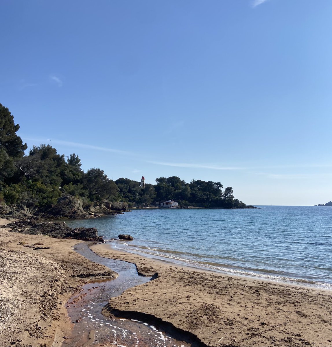 🦋Nathalie🦋 tweet media