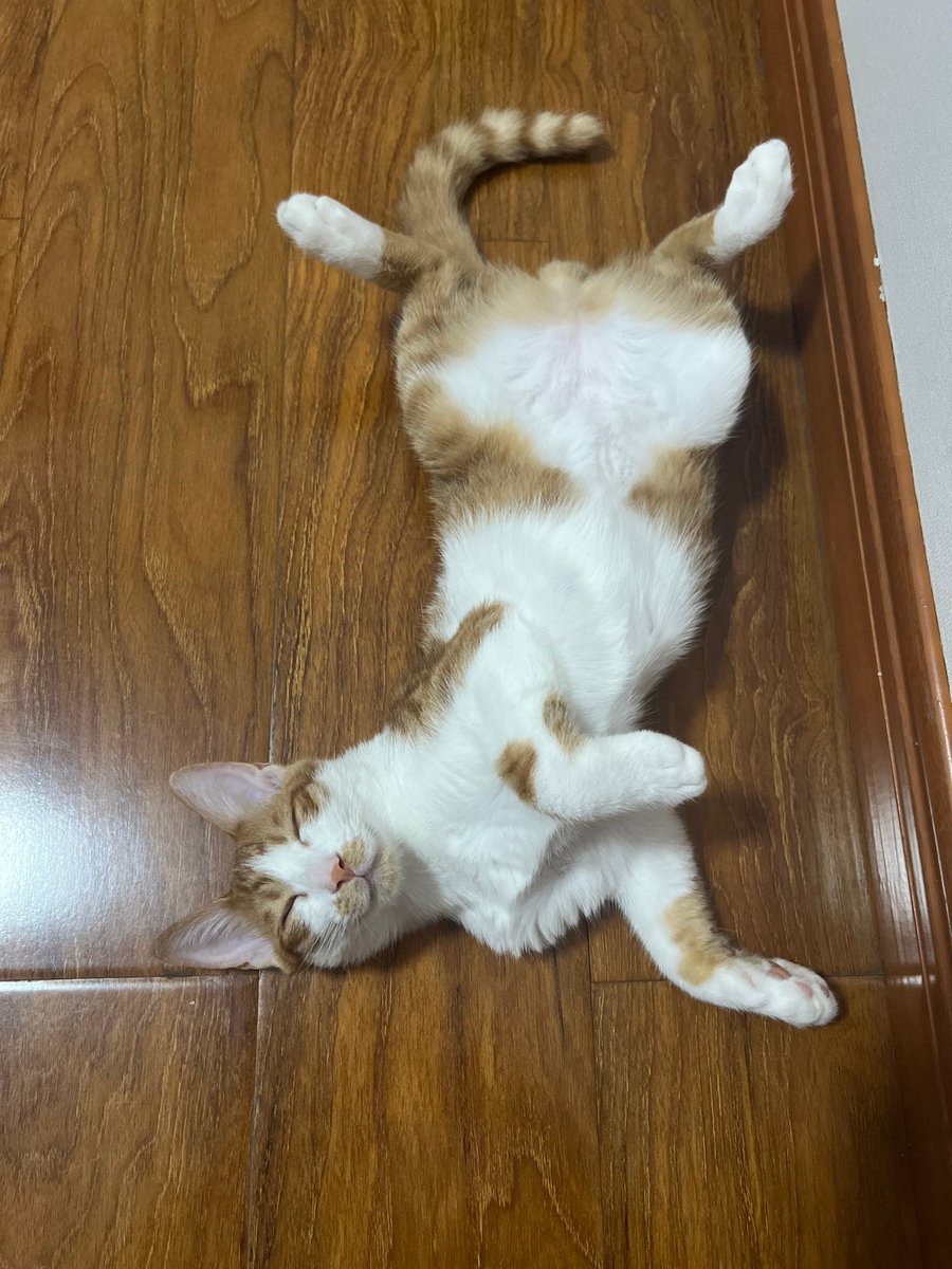 Mikeylaaaa tweet media