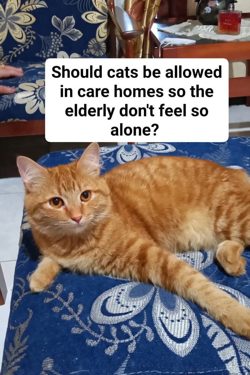 Sara Mary ⭐❤️ tweet media