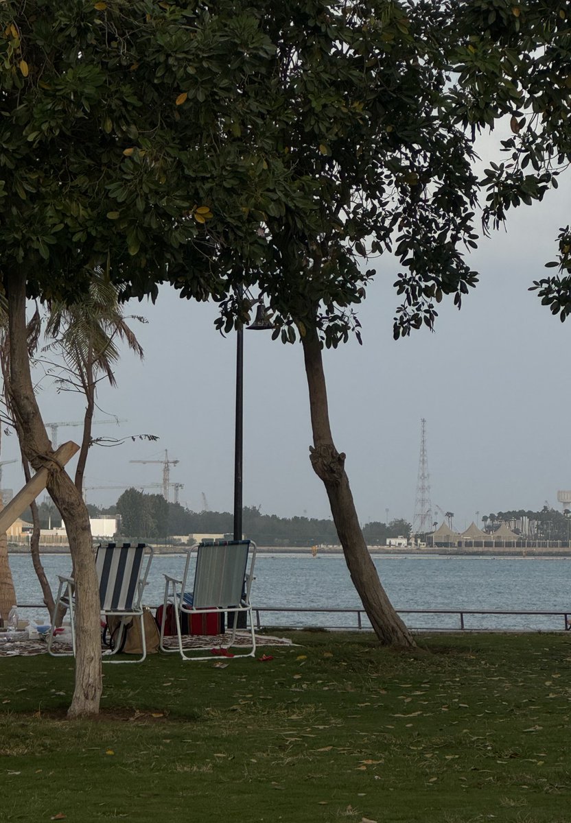 Manar🪄 tweet media