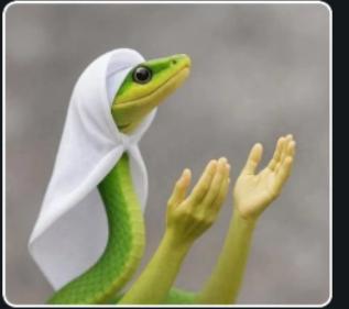 𝕭𝖗𝖆𝖓𝖎𝖆𝖈𝕺𝖋𝖂𝖊𝖇3 tweet media