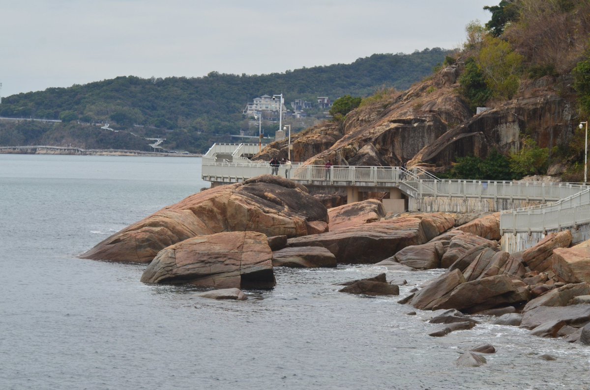 André Nícolas tweet media