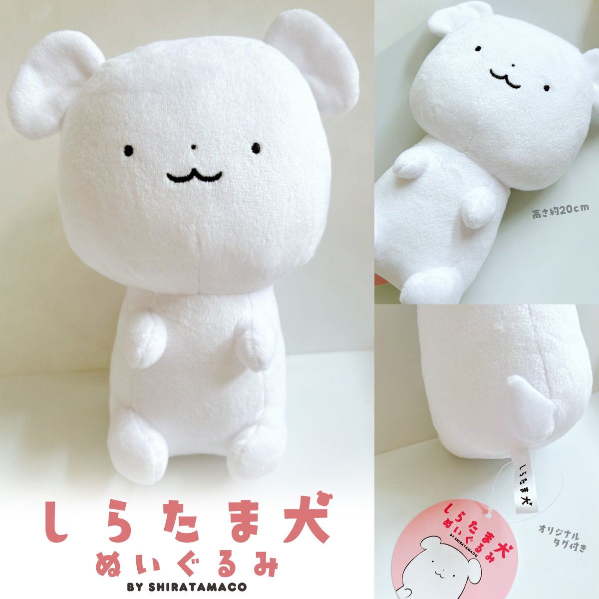 しらたま犬ぬいぐるみ】 ご予約受付は「明日まで」です！🦴 ご希望の方