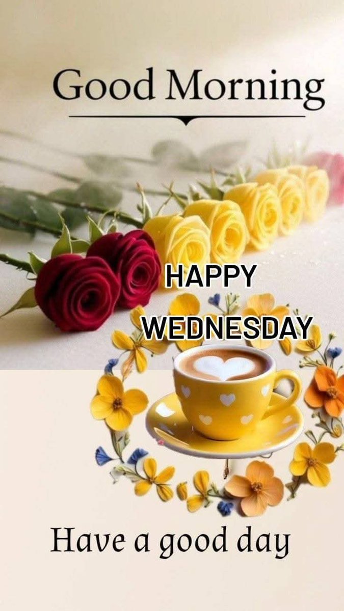 Sandra👩▪︎😺Ozzy 😺Zara 😺Woody tweet media