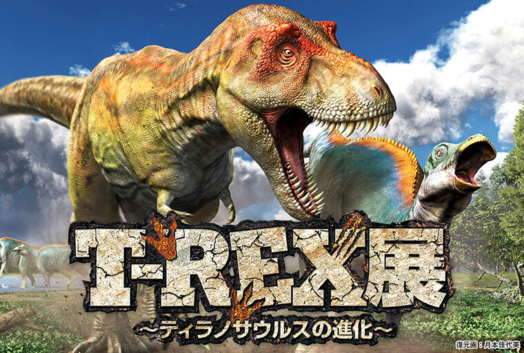 kyoryu_plus's tweet photo. 【#恐竜イベント 案内】
新潟県立自然科学館
春の特別展「T-REX展 ～ティラノサウルスの進化～」

開催期間：
2026年3月14日(土)～5月10日(日)

▼詳細はこちら
https://t.co/YDSp0qW2ig https://t.co/zN4suUpQ7n