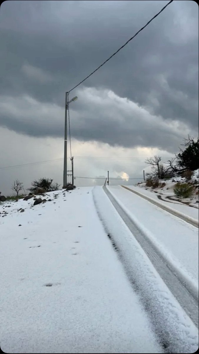 الآنسة شذى tweet media