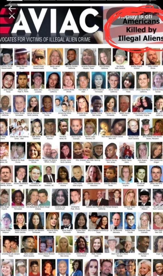 FastFreddy tweet media