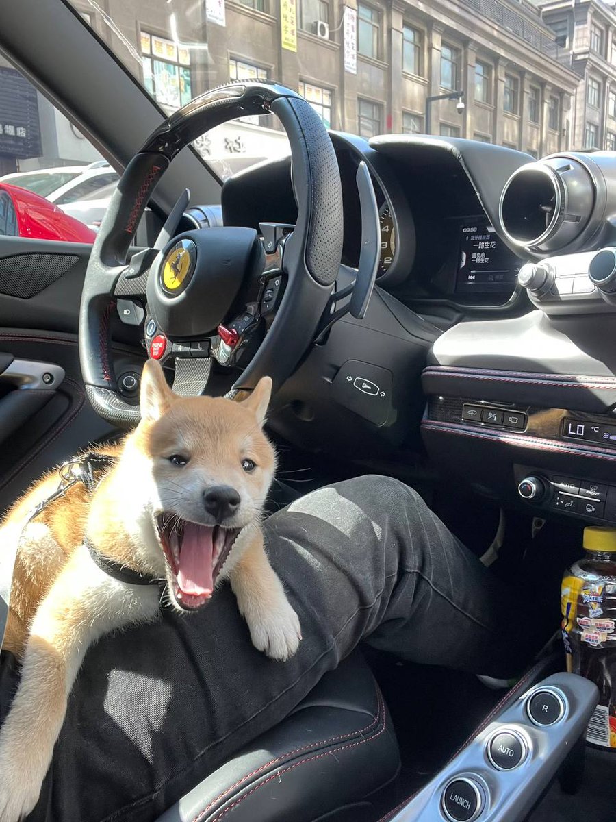 料理家トレーダー tweet media